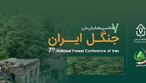 جنگل ایرانن