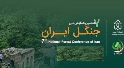 جنگل ایرانن