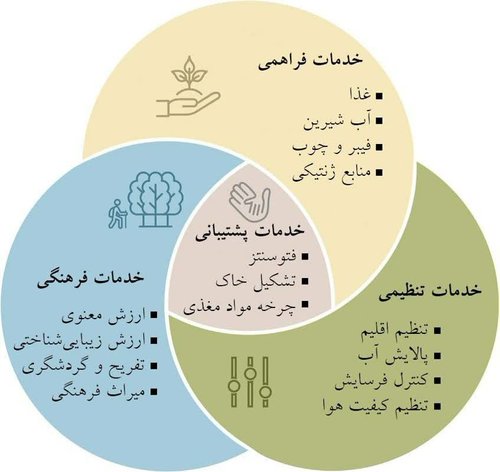 منابع طبیعی چهار