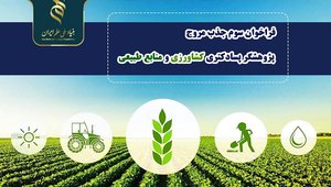 پسا دکترا