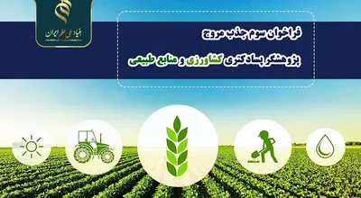 پسا دکترا